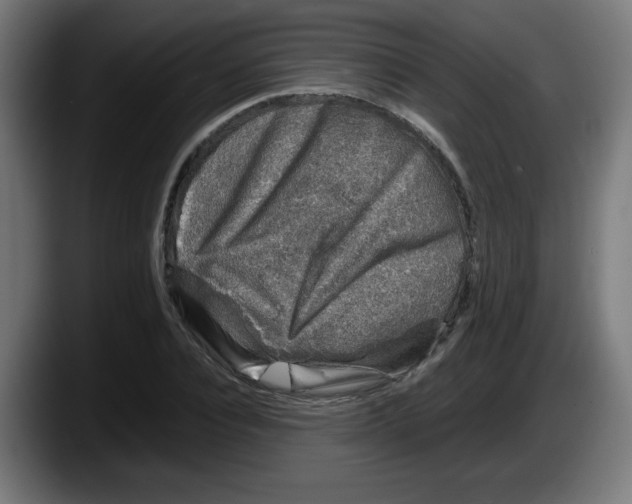 X0000087600928200705251919