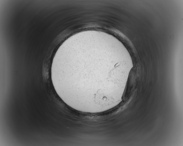 X0000087600929200705251919