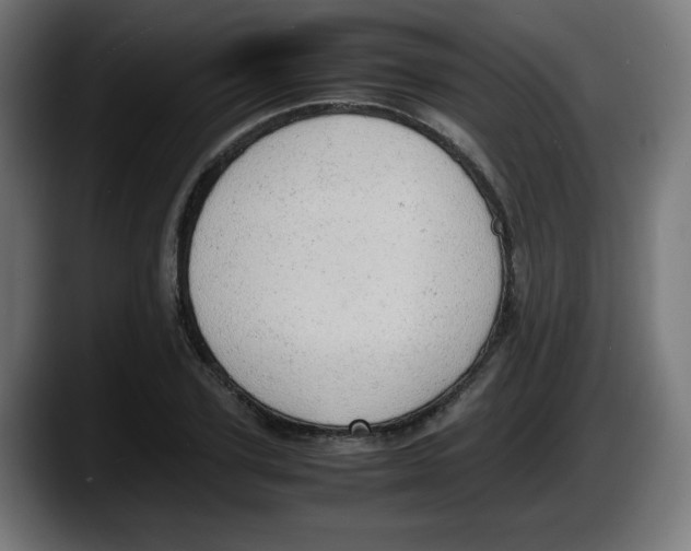 X0000087600931200705251919