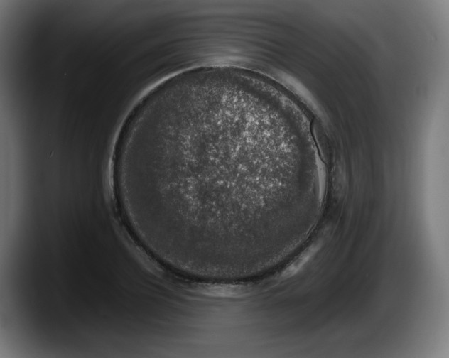 X0000087600932200705251919