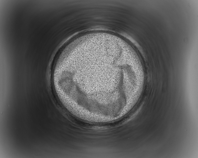 X0000087600933200705251919