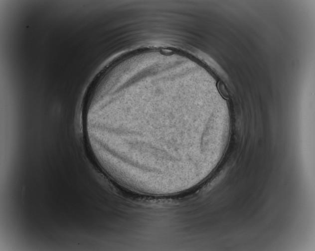 X0000087600934200705251919