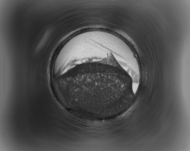 X0000087600935200705251919