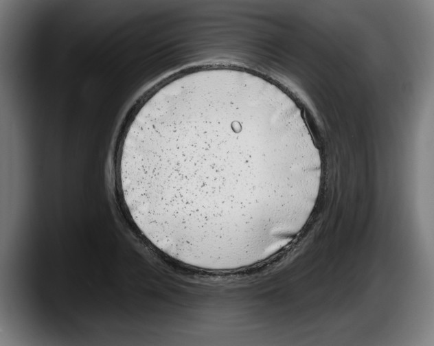 X0000087600936200705251919