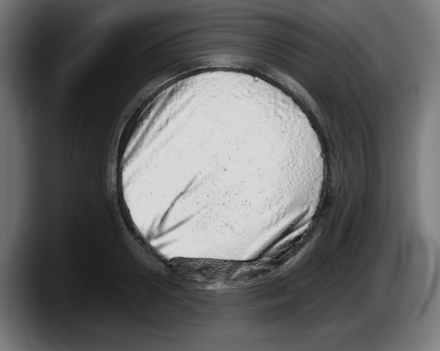 X0000087600938200705251919