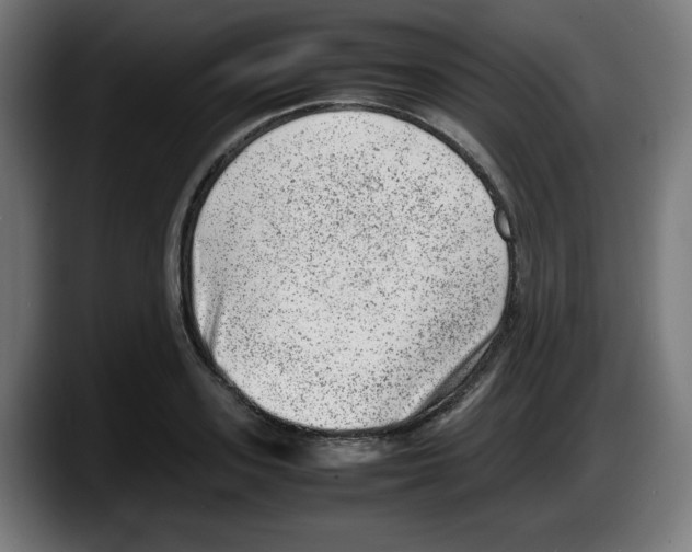 X0000087600939200705251919