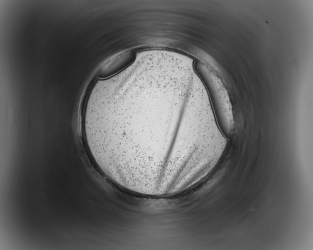 X0000087600940200705251919