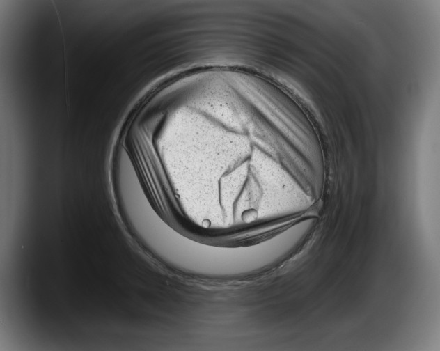 X0000087600942200705251919