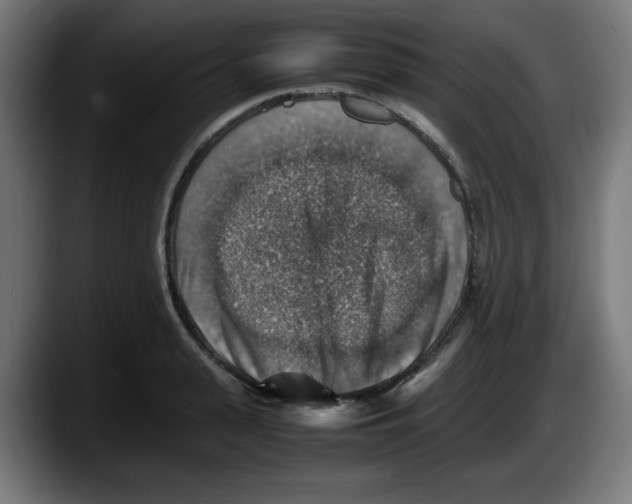 X0000087600943200705251919