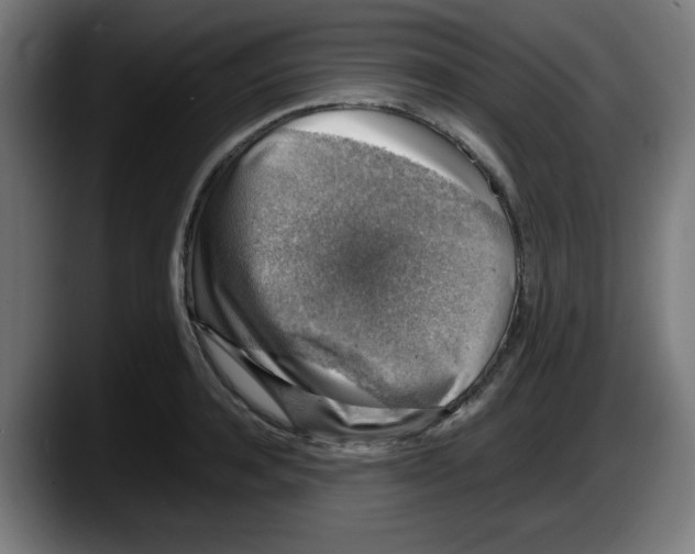 X0000087600944200705251919