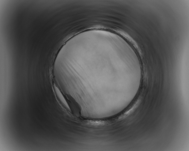 X0000087600945200705251919