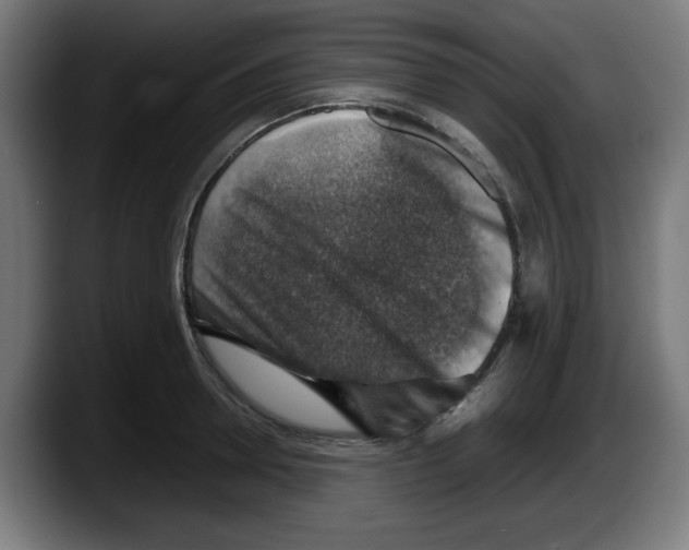 X0000087600946200705251919