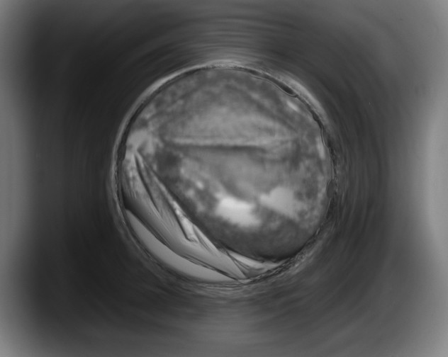 X0000087600948200705251919