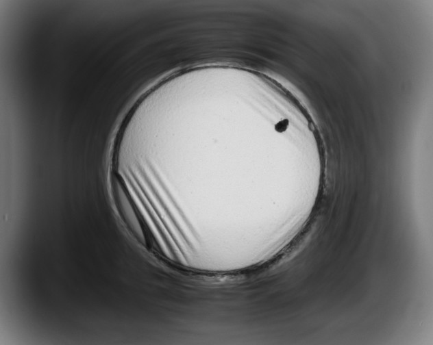 X0000087600949200705251919