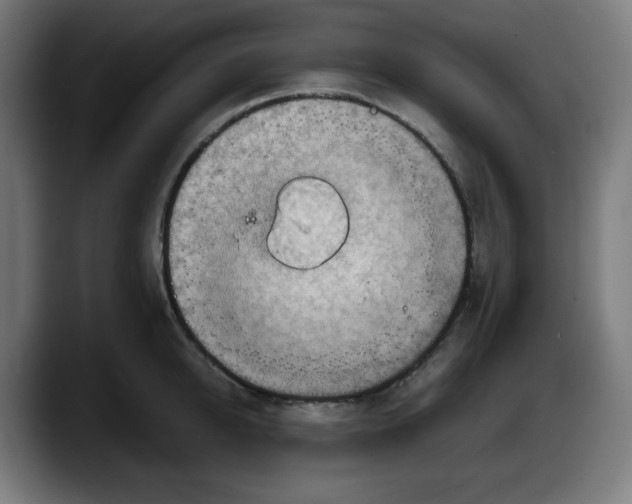 X0000087600950200705251919