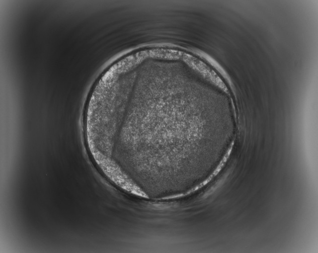 X0000087600951200705251919