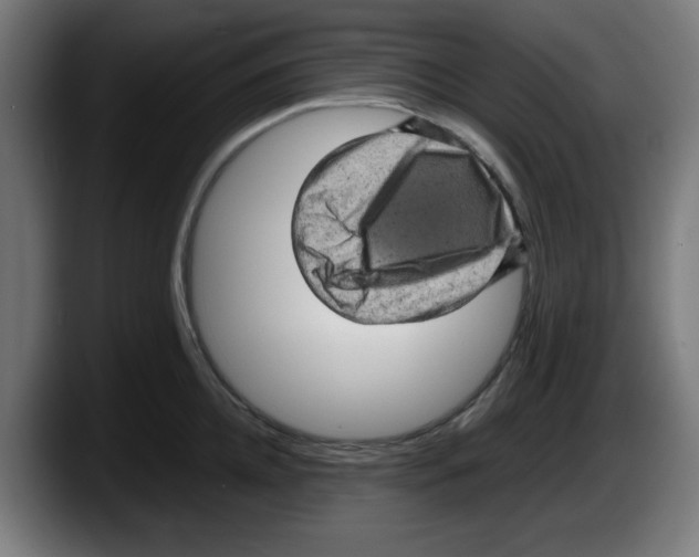 X0000087600952200705251919