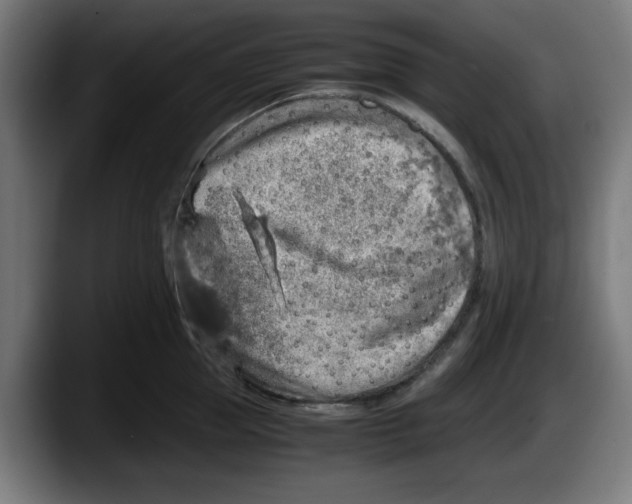 X0000087600953200705251919