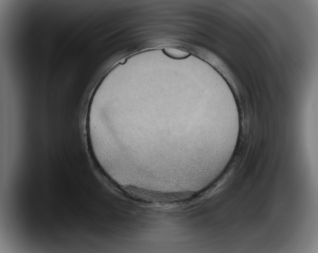 X0000087600954200705251919