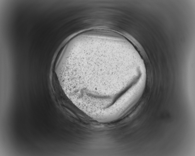 X0000087600956200705251919