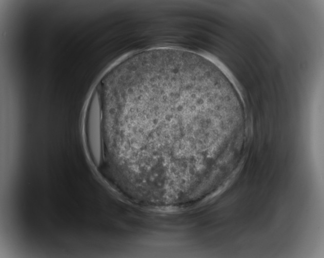 X0000087600957200705251919