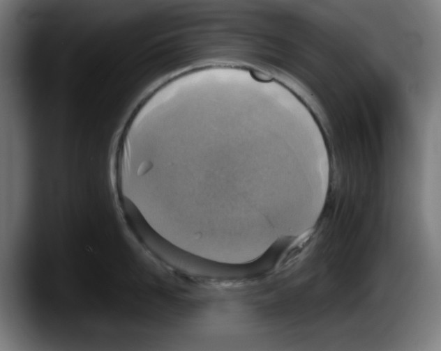 X0000087600958200705251919