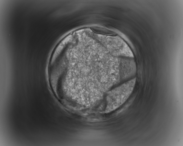 X0000087600959200705251919