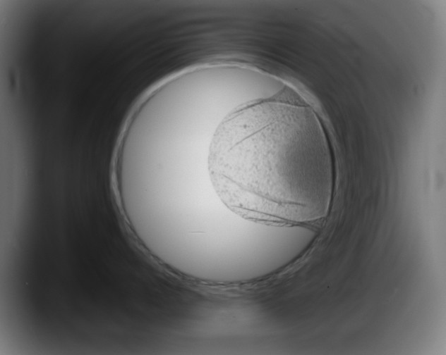 X0000087600960200705251919