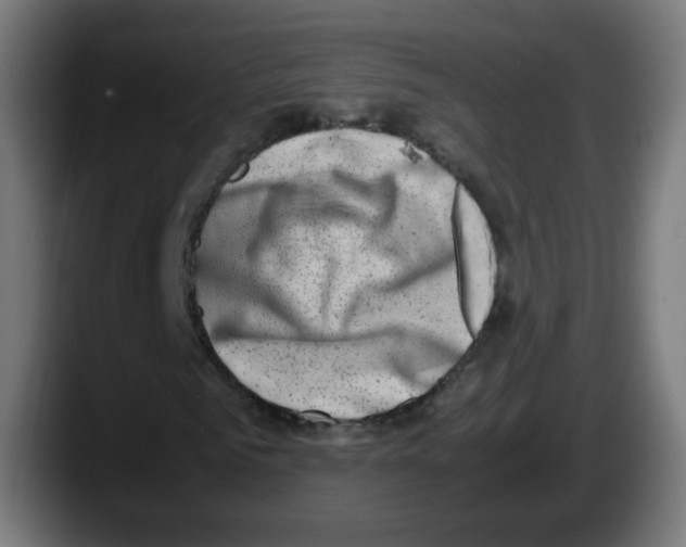 X0000087600961200705251919