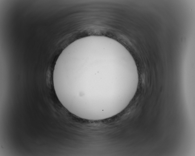 X0000087600964200705251919