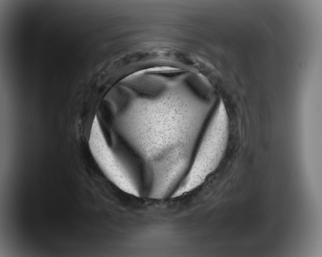 X0000087600965200705251919