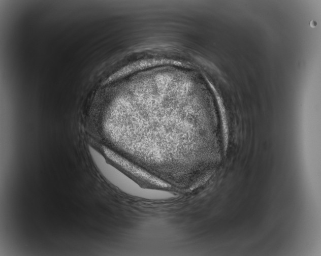 X0000087600966200705251919