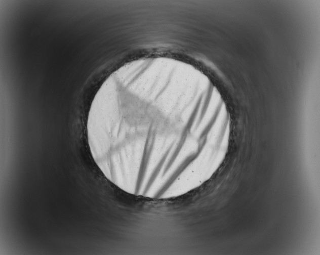 X0000087600967200705251919