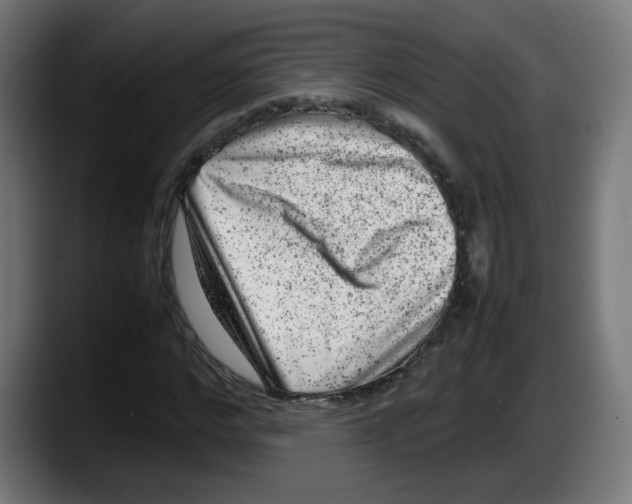 X0000087600968200705251919