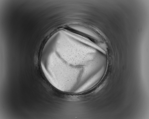 X0000087600969200705251919