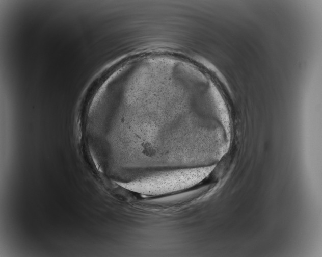 X0000087600973200705251919