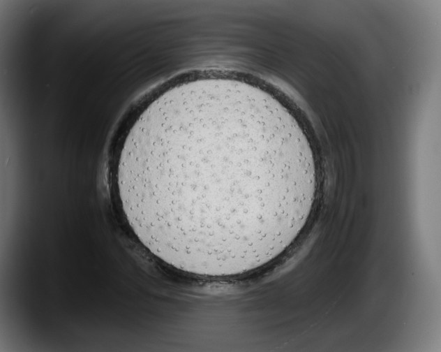 X0000087600974200705251919