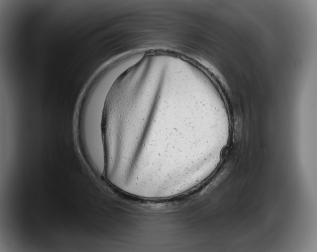 X0000087600976200705251919