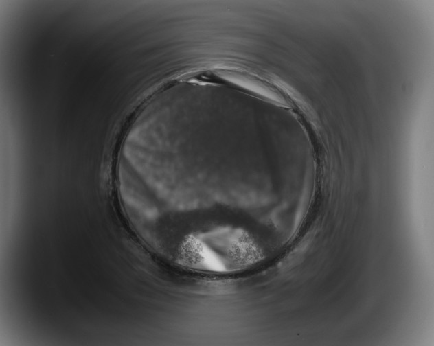 X0000087600977200705251919