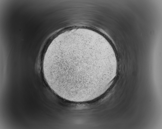 X0000087600979200705251919