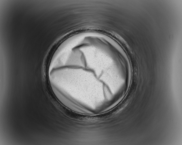 X0000087600981200705251919