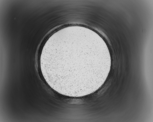 X0000087600984200705251919