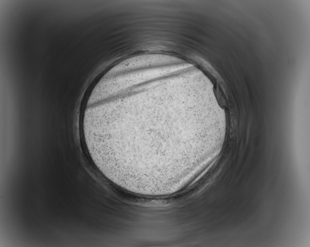 X0000087600986200705251918