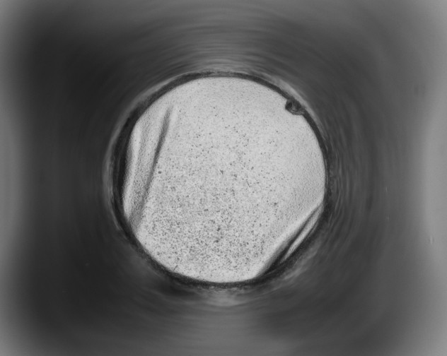 X0000087600987200705251918