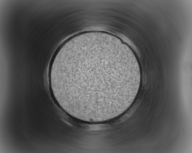 X0000087600988200705251918