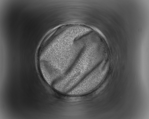 X0000087600989200705251918