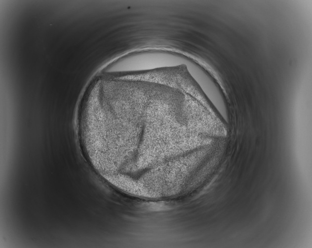 X0000087600990200705251918