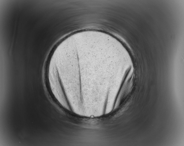 X0000087600991200705251918