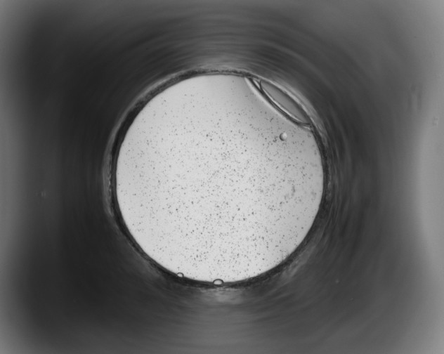 X0000087600992200705251918