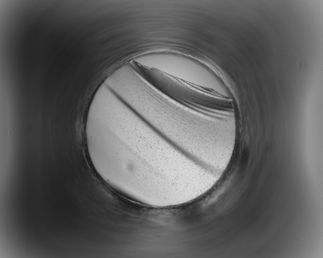 X0000087600993200705251918